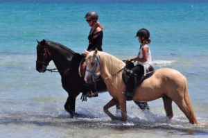 horses at the sea