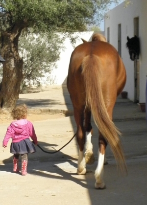 young girl horse